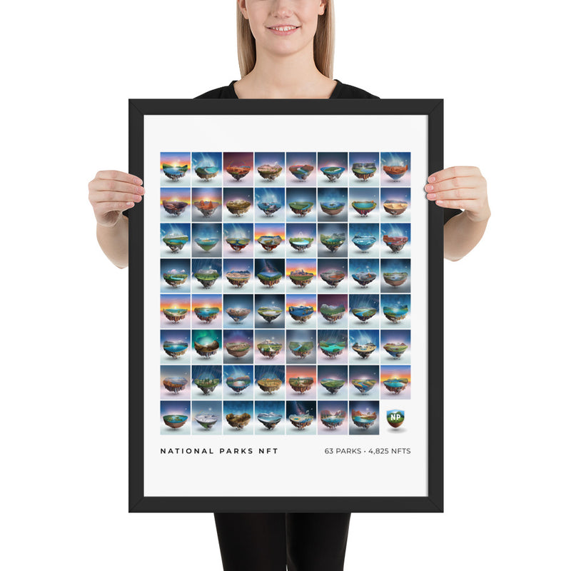 National Parks 63 Framed Poster